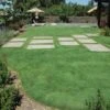 UC Verde® Buffalo Grass Plugs -Garden Wonders 27058 buffalo grass verde