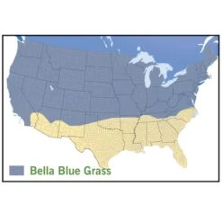 Bella™ Bluegrass Grass Plugs -Garden Wonders bella blue grass map
