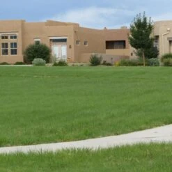 Garden Wonders -Garden Wonders hachita grama lawn 27056 1