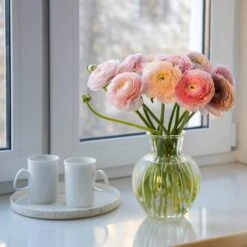 Pastel Ranunculus Mix -Garden Wonders pastel ranunculus mix pastel persian buttercup mix window still vase
